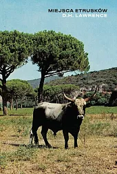 Miejsca EtruskówH.D. Lawrence Miejsca EtruskówH.D. Lawrence