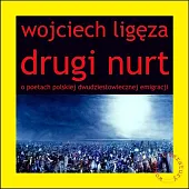 Drugi nurt