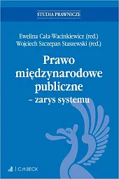 Prawo międzynarodowe publiczne - zarys systemu + testy online
