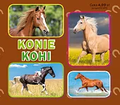 Konie. Коніzbiorowa Praca