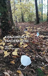 Krajobrazy pandemiczne