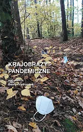 Krajobrazy pandemiczne