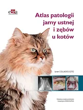 Atlas patologii jamy ustnej i zębów,Javier Collados Soto
