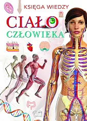 Ciało człowieka Ciało człowieka