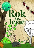 Rok w lesie. Kolorowanka