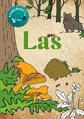 Las. KolorowankaKatarzyna Kopiec-Sekieta