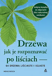 Drzewa jak je rozpoznawać po liściachMeike Bosch
