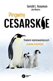 Pingwiny cesarskie Pingwiny cesarskie