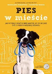 Pies w mieście Pies w mieście
