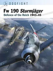 Dogfight Fw 190 Sturmjager