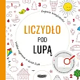 Liczydło pod lupą