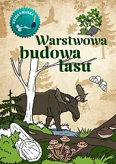Warstwowa budowa lasu. KolorowankaKatarzyna Kopiec-Sekieta