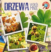 Rosnę i odkrywam Drzewa wokół nas
