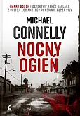 Nocny ogień