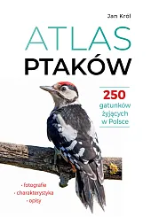 Atlas ptaków 250 gatunków żyjących w,Jan Król