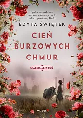 Cień burzowych chmur Cień burzowych chmur