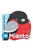 Okienka maluszka MIASTO