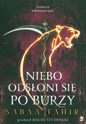 Niebo odsłoni się po burzy