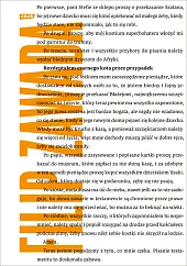 Rozdeptałem czarnego kota przez przypadekFilip Zawada