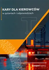 Kary dla kierowców w pytaniach i odpowiedziach