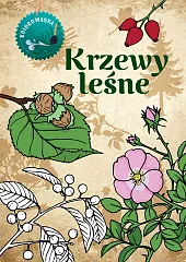 Krzewy leśne KolorowankaKatarzyna Kopiec Sekieta