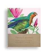 Plants and animals Plants and animals