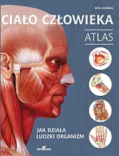 Ciało człowieka AtlasKen Ashwell