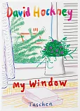 David Hockney. My Window
