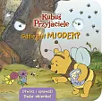 Gdzie jest miodek? Otwórz i sprawdź! Disney Kubuś i Przyjaciele