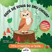 Gdzie się sowa do snu chowa?,Fiona Huisman