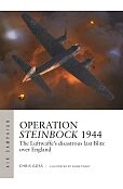 Air Campaign 52 Operation Steinbock 1944 Air Campaign 52 Operation Steinbock 1944