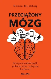 Przeciążony mózg Przeciążony mózg