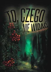To, czego nie widaćBartek Bikowski