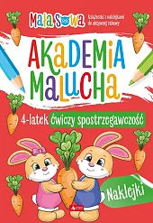 Akademia malucha 4latek ćwiczy spostrzegawczość