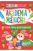 Akademia malucha 4latek ćwiczy spostrzegawczość