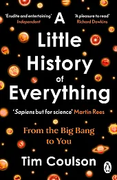 A Little History of Everything