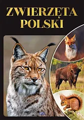 Zwierzęta Polski