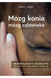 Mózg konia, mózg człowieka. Neurobiologia w jeździectwie
