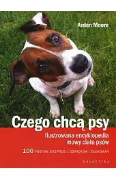 Czego chcą psy. Ilustrowana encyklopedia mowy ciała psów
