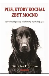 Pies, który kochał zbyt mocno