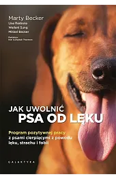 Jak uwolnić psa od lęku