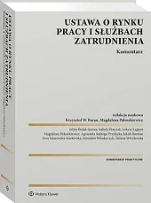 Ustawa o rynku pracy i służbach zatrudnienia. Komentarz [PRZEDSPRZEDAŻ]