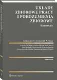 Układy zbiorowe pracy i porozumienia zbiorowe. Komentarz [PRZEDSPRZEDAŻ]