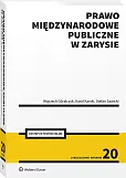 Prawo międzynarodowe publiczne w zarysie [PRZEDSPRZEDAŻ]