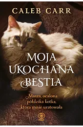 Moja ukochana bestia. Masza, ocalona półdzika kotka, która mnie uratowała