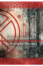 Bogowie Polski. Szamani, megality i zapomniane,Szymon Zdziebłowski