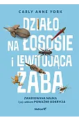 Działo na łososie i lewitująca żaba. Zwariowana nauka i jej całkiem poważne odkrycia