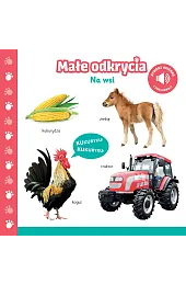 Małe odkrycia. Na wsizbiorowa Praca