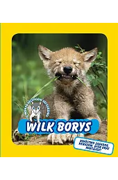 Wilk Borys. Świat dzikich maluchówzbiorowa Praca