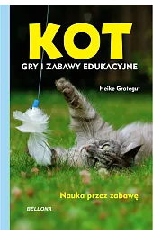 Kot. Gry i zabawy edukacyjne